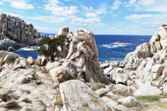 sardinien_22-137