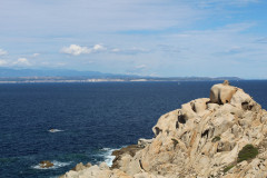 sardinien_22-186