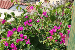 sardinien_22-473
