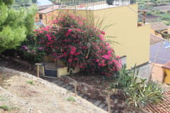 sardinien_22-485