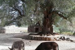 sardinien_22-607