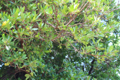 sardinien_22-775