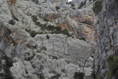 sardinien_22-893