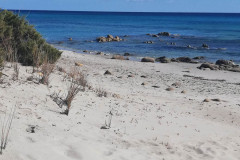 sardinien_22-1153