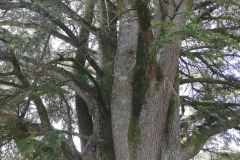 IMG_6713_20230523_112755